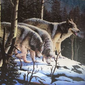 Meet your Posher, Tanya